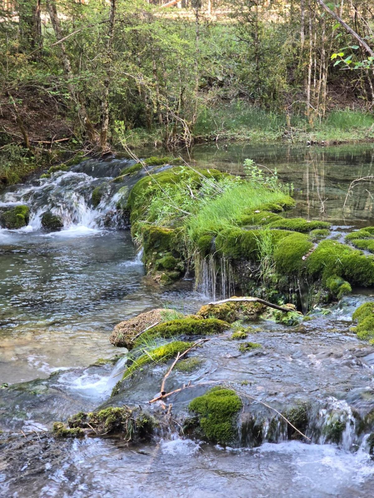 Hostal Rural Alto Tajo Poveda Poveda de la Sierra المظهر الخارجي الصورة